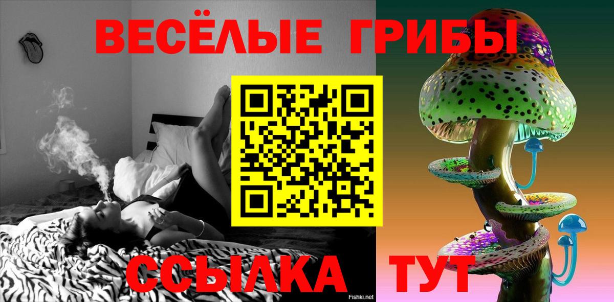 Псилоцибиновые грибы MAGIC MUSHROOMS Рославль